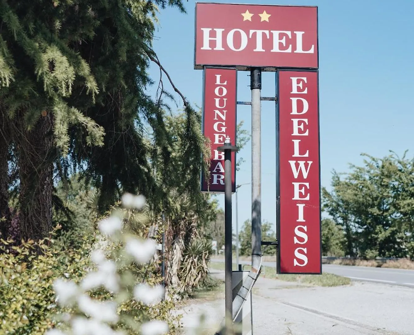 Castel dʼArio Hotel Edelweiss Mantova Castel dʼArio